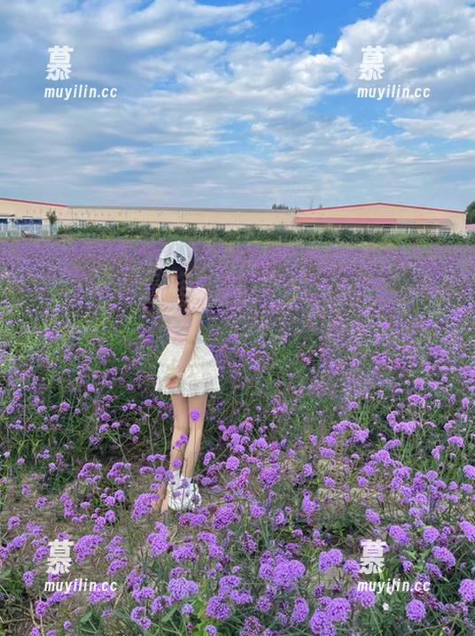 Xiuren秀人网-Evelyn艾莉 Xiuren秀人网 - 高清Evelyn艾莉豹纹写真集,原图展现她的无穷魅力与风格