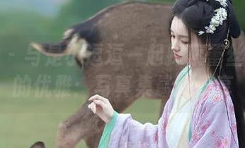 微密圈 – 与是小逗逗一起探索蕾丝黑丝袜的优雅：写真集最新分享