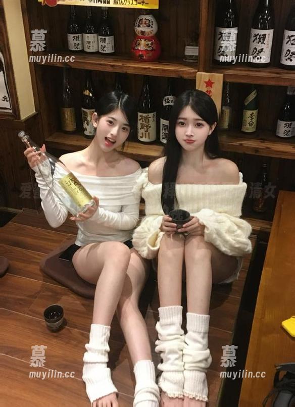 爱蜜社-夏正正 爱蜜社 - 精致生活的诠释:夏正正高清女仆写真集带来的视觉盛宴