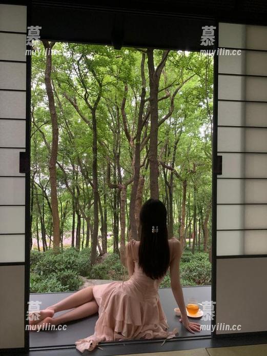 魅妍社 - 赵梦洁镂空系列美图惊艳上线，探索下载更多艺术灵感！