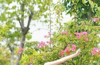 魅妍社 – 让你目不转睛！观看黄歆苑夏日写真合集，魅力四溢，简直是视觉的狂欢！
